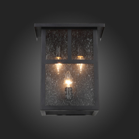 Уличные настенные светильники — Светильник настенный ST-Luce SL079.401.03 купить в 