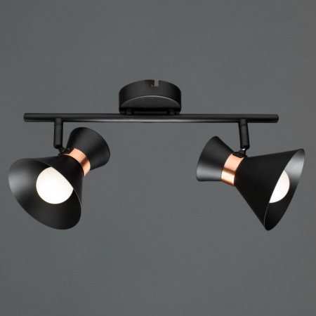 Споты — Спот ARTE Lamp A1406AP-2BK купить в  Споты — Спот ARTE Lamp A1406AP-2BK купить в