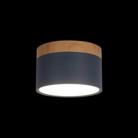 Детские точечные светильники — Детский точечный светильник LOFT IT 10162 Blue купить в 