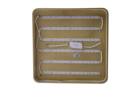 Накладные светильники — Накладной светильник Zortes ZRS.1215.04 купить в  Накладные светильники — Накладной светильник Zortes ZRS.1215.04 купить в