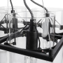 Люстры подвесные — Подвесная люстра ARTE Lamp A8586SP-4BK купить в  Люстры подвесные — Подвесная люстра ARTE Lamp A8586SP-4BK купить в