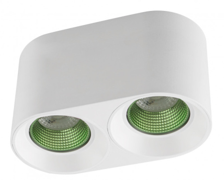 Накладные точечные светильники — Накладной светильник Denkirs DK3096-WH+GR купить в 