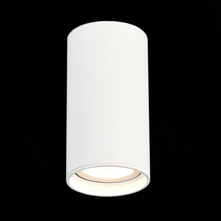 Влагозащищенные точечные светильники — Влагозащищенный светильник ST-Luce ST157.532.15 купить в 