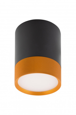 Накладные точечные светильники — Накладной светильник Denkirs DK4017-BG купить в  Накладные точечные светильники — Накладной светильник Denkirs DK4017-BG купить в