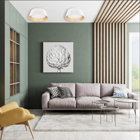 Накладные светильники — Накладной светильник LOFT IT 10224 Black купить в 