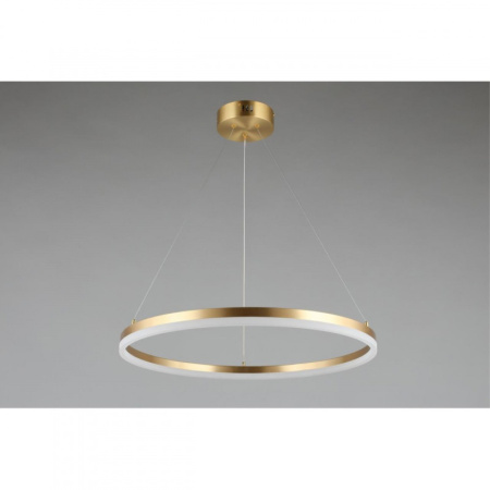 Подвесные светильники — Подвесной светильник APLOYT APL.049.13.40 купить в 