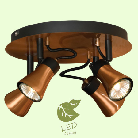 Споты — Спот Lussole GRLSL-6801-04 купить в 