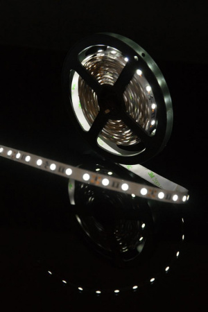 Светодиодные ленты — Лента SWG SWG560-12-14.4-W купить в 