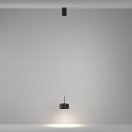 Подвесные светильники — Подвесной светильник Maytoni Technical P102PL-12W4K-B купить в 