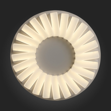 Накладные светильники — Накладной светильник ST-Luce SL837.502.24 купить в 