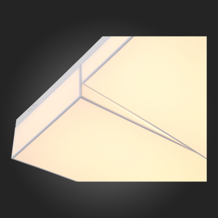 Накладные светильники — Накладной светильник ST-Luce SL416.502.02 купить в 