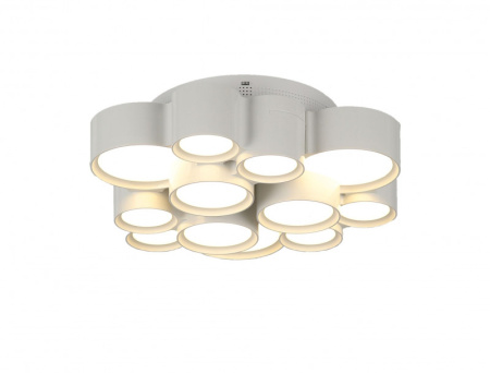 Накладные светильники — Накладной светильник Freya FR6043CL-L30W купить в 