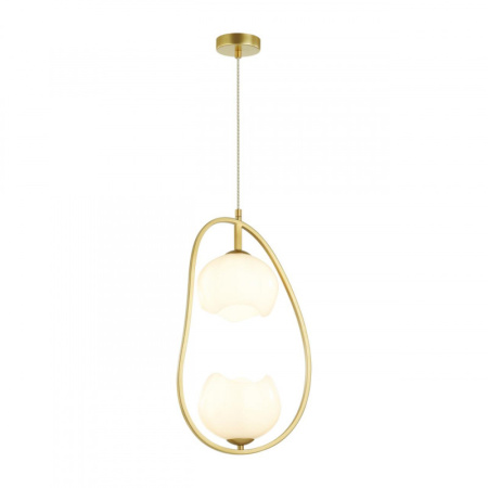 Подвесные светильники — Подвесной светильник Odeon Light 4873/2 купить в 