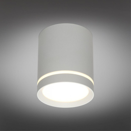 Накладные точечные светильники — Накладной светильник Omnilux OML-102429-05 купить в  Накладные точечные светильники — Накладной светильник Omnilux OML-102429-05 купить в