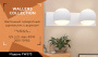 Настенные бра — Бра Ambrella Light FW573 купить в  Настенные бра — Бра Ambrella Light FW573 купить в
