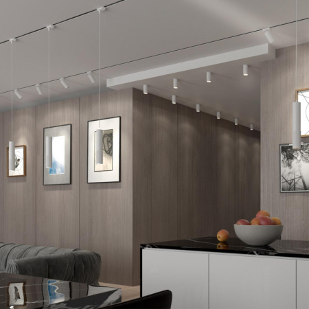 Трековые светильники — Светильник на шине Novotech 370770 купить в 