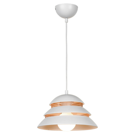 Подвесные светильники — Подвесной светильник Lussole LSP-8130 купить в 