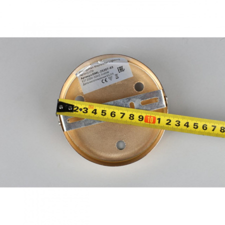 Люстры накладные — Накладная люстра Omnilux OML-25207-03 купить в 