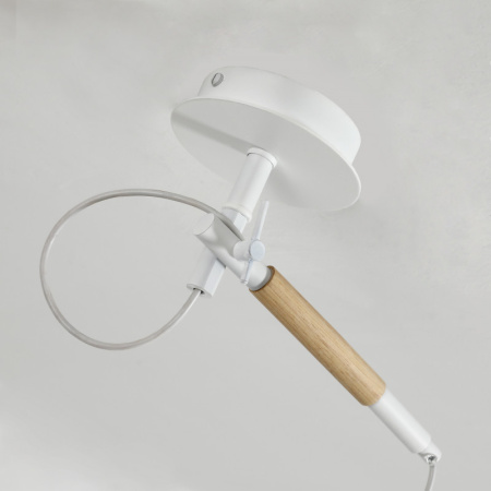 Подвесные светильники — Подвесной светильник F-Promo 3005-1P купить в 