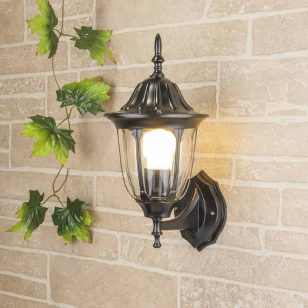 Уличные настенные светильники — Светильник настенный Elektrostandard GL 1002U черный купить в 