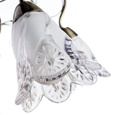 Люстры подвесные — Подвесная люстра ARTE Lamp A6273LM-8AB купить в  Люстры подвесные — Подвесная люстра ARTE Lamp A6273LM-8AB купить в