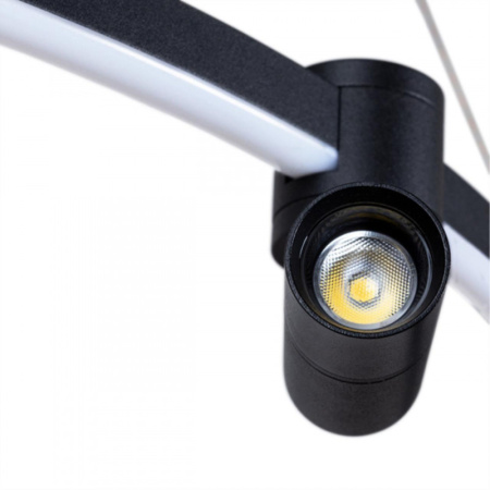 Люстры подвесные — Подвесная люстра ARTE Lamp A2186SP-1BK купить в  Люстры подвесные — Подвесная люстра ARTE Lamp A2186SP-1BK купить в