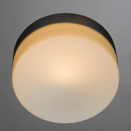 Накладные светильники — Накладной светильник ARTE Lamp A3211PL-1SI купить в  Накладные светильники — Накладной светильник ARTE Lamp A3211PL-1SI купить в