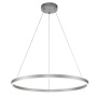 Подвесные светильники — Подвесной светодиодный светильник Indigo Galass 14001/1P Silver V000018L купить в  Подвесные светильники — Подвесной светодиодный светильник Indigo Galass 14001/1P Silver V000018L купить в