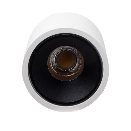 Накладные точечные светильники — Накладной светильник LeDron RINBOK White/Black купить в  Накладные точечные светильники — Накладной светильник LeDron RINBOK White/Black купить в