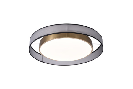 Накладные светильники — Накладной светильник Zortes ZRS.27510.05 купить в  Накладные светильники — Накладной светильник Zortes ZRS.27510.05 купить в