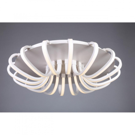 Накладные светильники — Накладной светильник Omnilux OML-48107-112 купить в 