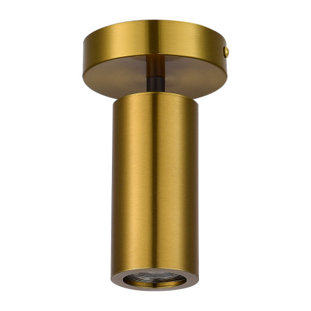 Накладные точечные светильники — Накладной светильник ST-Luce SL1215.402.01 купить в 