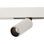Трековые светильники — Светильник на шине ST-Luce ST807.546.12 купить в 