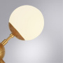 Люстры на штанге — Люстра на штанге ARTE Lamp A1664SP-12GO купить в  Люстры на штанге — Люстра на штанге ARTE Lamp A1664SP-12GO купить в
