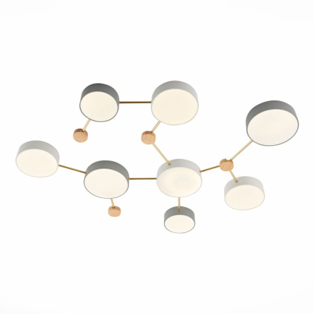 Накладные светильники — Накладной светильник Evoluce SLE600102-08 купить в 