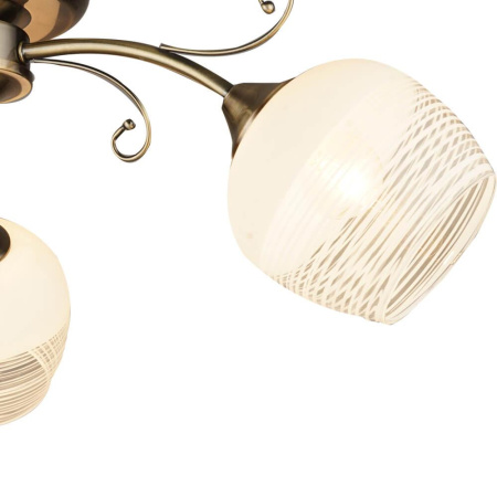 Потолочные люстры — Потолочная люстра Seven Fires Брунек 66271.01.05.03 купить в  Потолочные люстры — Потолочная люстра Seven Fires Брунек 66271.01.05.03 купить в