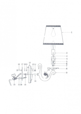 Настенные бра — Бра Lightstar 779518 купить в  Настенные бра — Бра Lightstar 779518 купить в