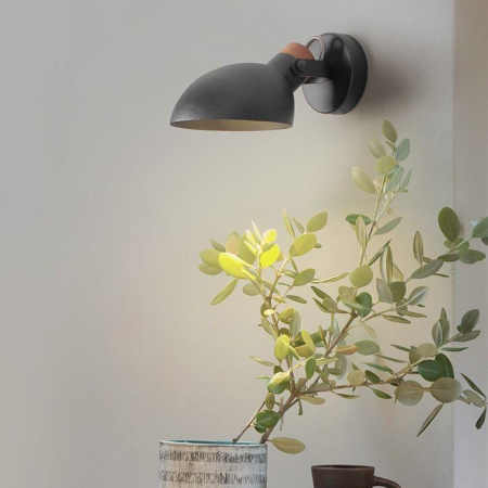 Потолочные светильники — Бра Imperium Loft Onder 204451-26 купить в 