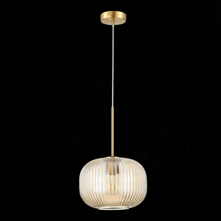 Подвесные светильники — Подвесной светильник ST-Luce SL1154.313.01 купить в 