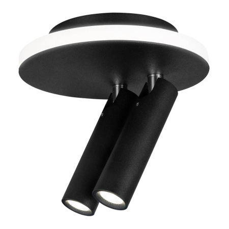 Споты — Светодиодный спот Escada 20019SMA/02LED SBK купить в  Споты — Светодиодный спот Escada 20019SMA/02LED SBK купить в