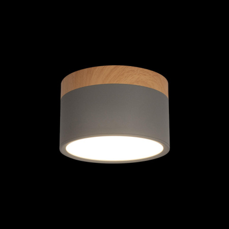 Детские точечные светильники — Детский точечный светильник LOFT IT 10162 Grey купить в 