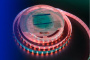 Светодиодные ленты — Лента DesignLed DSG5120-24-RGB+W-33 купить в 