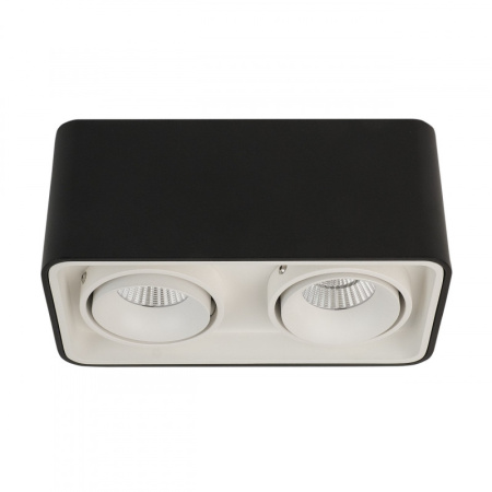 Накладные точечные светильники — Накладной светильник LeDron TUBING 2 Black/White купить в  Накладные точечные светильники — Накладной светильник LeDron TUBING 2 Black/White купить в