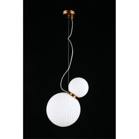 Подвесные светильники — Подвесной светильник APLOYT APL.301.06.02 купить в 