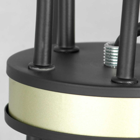 Люстры подвесные — Подвесная люстра Lussole LSP-8198 купить в 