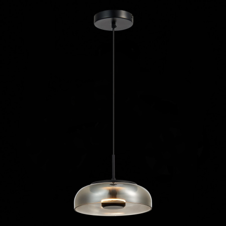 Подвесные светильники — Подвесной светильник ST-Luce SL6002.403.01 купить в 