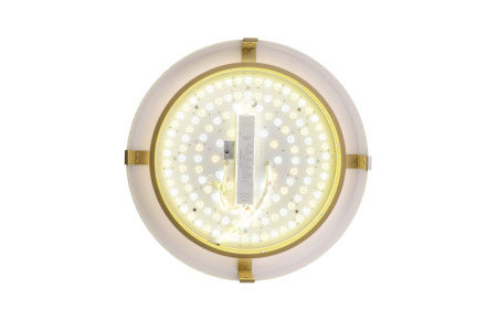 Накладные светильники — Накладной светильник Zortes ZRS.1097.50 купить в  Накладные светильники — Накладной светильник Zortes ZRS.1097.50 купить в