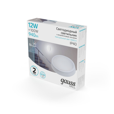 Офисные светильники — Офисный светильник Gauss 193411212-S купить в  Офисные светильники — Офисный светильник Gauss 193411212-S купить в