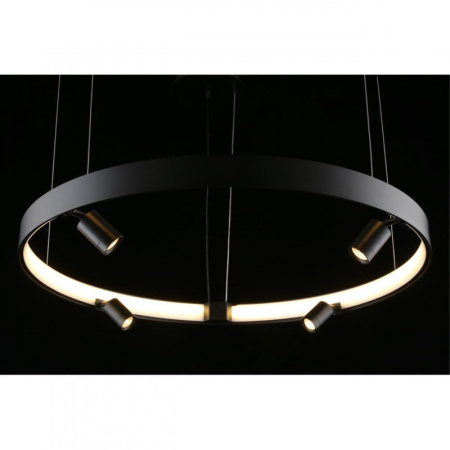 Люстры подвесные — Подвесная люстра APLOYT APL.041.13.50 купить в 