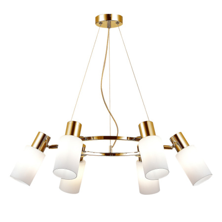 Люстры подвесные — Подвесная люстра Evoluce SLE1139-303-06 купить в 